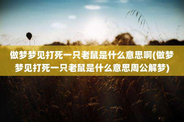 做梦梦见打死一只老鼠是什么意思啊(做梦梦见打死一只老鼠是什么意思周公解梦)