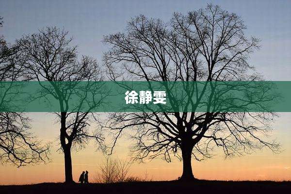徐静雯