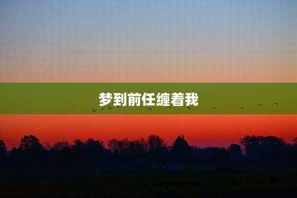 梦到前任缠着我
