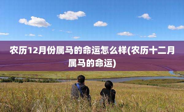 农历12月份属马的命运怎么样(农历十二月属马的命运)