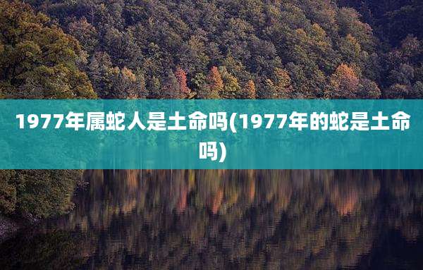 1977年属蛇人是土命吗(1977年的蛇是土命吗)
