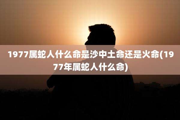 1977属蛇人什么命是沙中土命还是火命(1977年属蛇人什么命)
