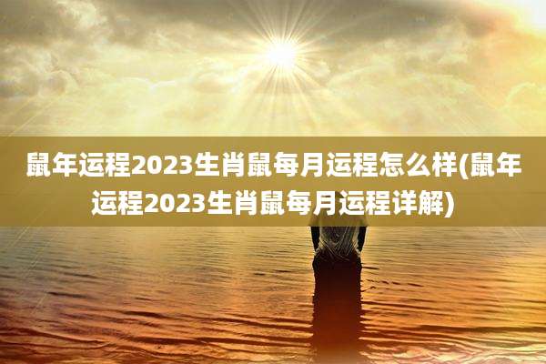 鼠年运程2023生肖鼠每月运程怎么样(鼠年运程2023生肖鼠每月运程详解)