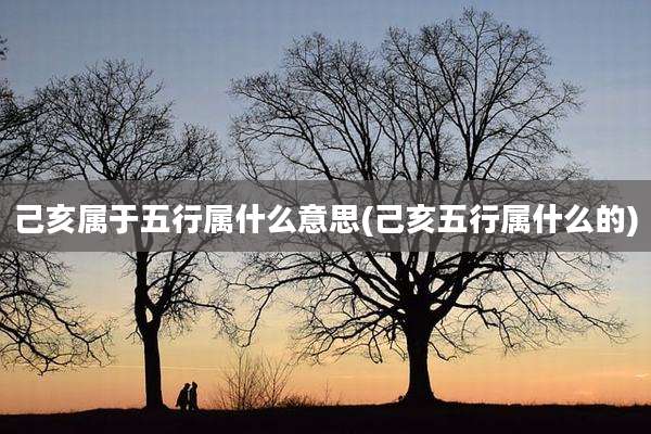 己亥属于五行属什么意思(己亥五行属什么的)