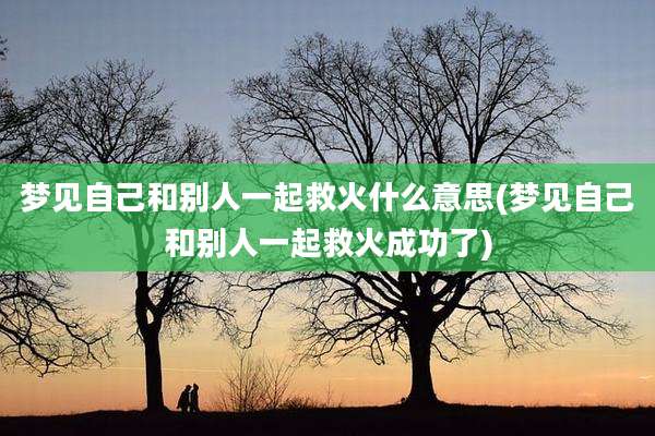 梦见自己和别人一起救火什么意思(梦见自己和别人一起救火成功了)