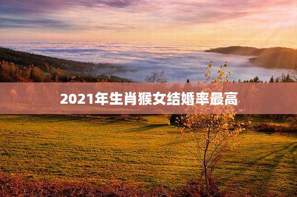 2021年生肖猴女结婚率最高