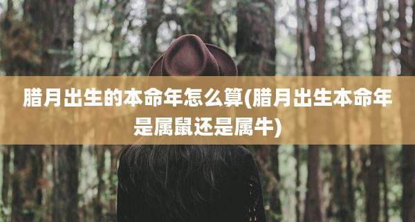 腊月出生的本命年怎么算(腊月出生本命年是属鼠还是属牛)