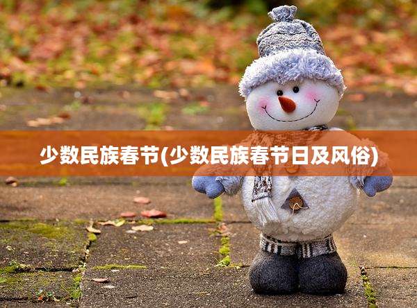 少数民族春节(少数民族春节日及风俗)