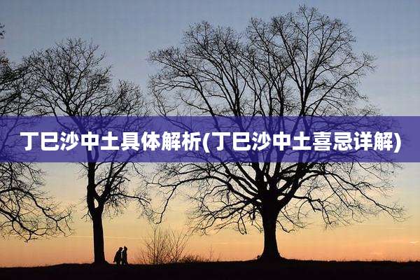 丁巳沙中土具体解析(丁巳沙中土喜忌详解)