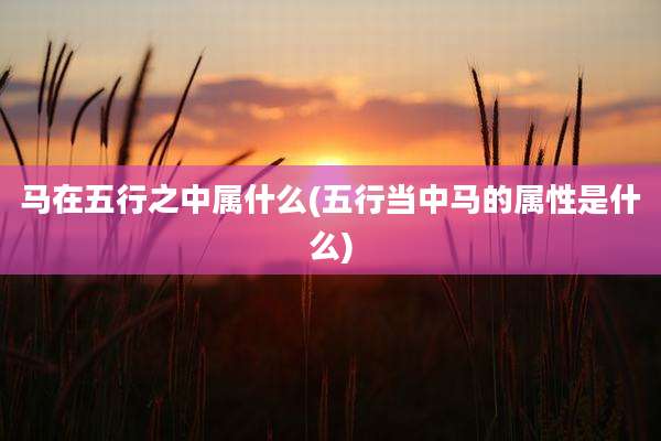 马在五行之中属什么(五行当中马的属性是什么)
