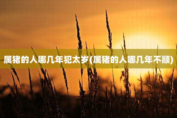 属猪的人哪几年犯太岁(属猪的人哪几年不顺)