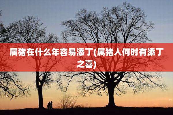 属猪在什么年容易添丁(属猪人何时有添丁之喜)