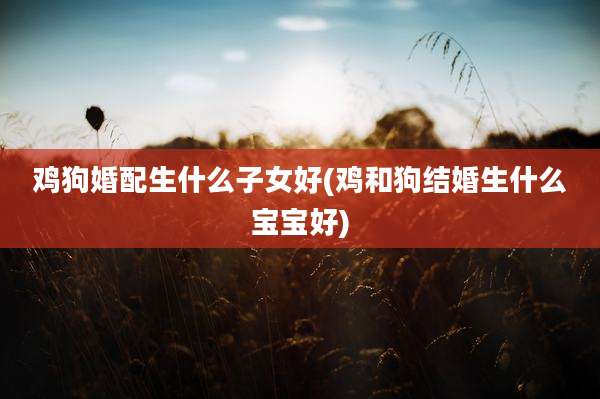 鸡狗婚配生什么子女好(鸡和狗结婚生什么宝宝好)