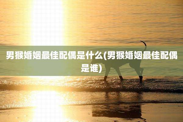 男猴婚姻最佳配偶是什么(男猴婚姻最佳配偶是谁)