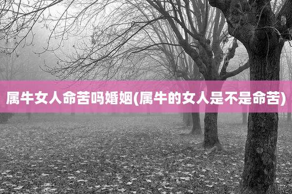属牛女人命苦吗婚姻(属牛的女人是不是命苦)