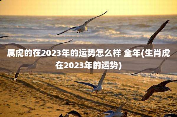 属虎的在2023年的运势怎么样 全年(生肖虎在2023年的运势)
