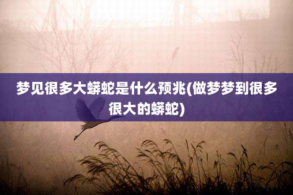 梦见很多大蟒蛇是什么预兆(做梦梦到很多很大的蟒蛇)