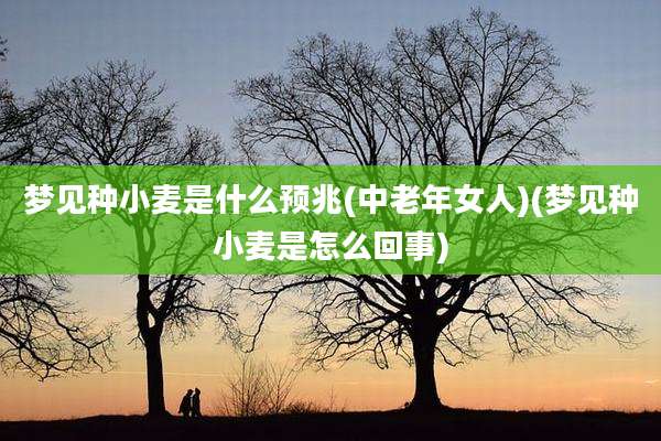 梦见种小麦是什么预兆(中老年女人)(梦见种小麦是怎么回事)