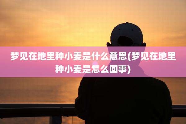 梦见在地里种小麦是什么意思(梦见在地里种小麦是怎么回事)