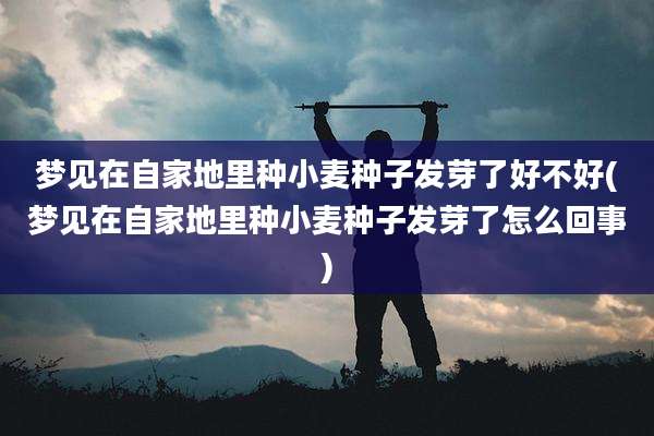 梦见在自家地里种小麦种子发芽了好不好(梦见在自家地里种小麦种子发芽了怎么回事)