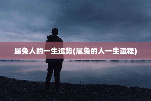 属兔人的一生运势(属兔的人一生运程)