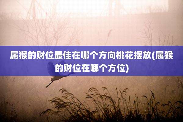 属猴的财位最佳在哪个方向桃花摆放(属猴的财位在哪个方位)
