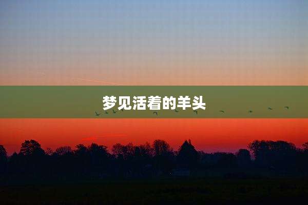 梦见活着的羊头