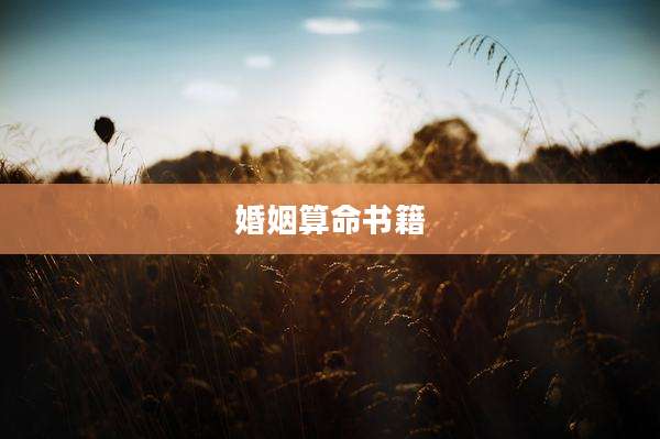 婚姻算命书籍