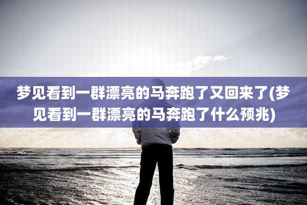 梦见看到一群漂亮的马奔跑了又回来了(梦见看到一群漂亮的马奔跑了什么预兆)