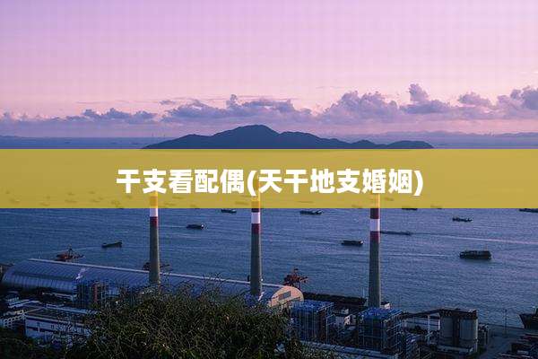 干支看配偶(天干地支婚姻)