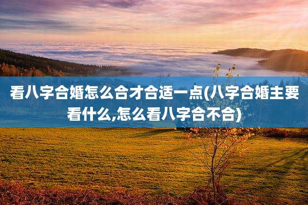 看八字合婚怎么合才合适一点(八字合婚主要看什么,怎么看八字合不合)