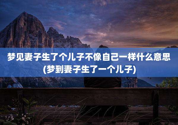 梦见妻子生了个儿子不像自己一样什么意思(梦到妻子生了一个儿子)