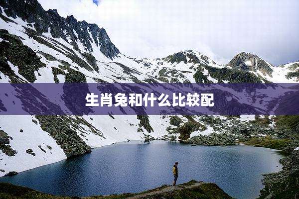 生肖兔和什么比较配