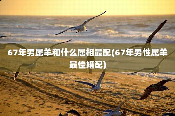 67年男属羊和什么属相最配(67年男性属羊最佳婚配)