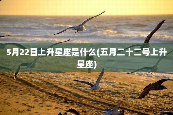 5月22日上升星座是什么(五月二十二号上升星座)