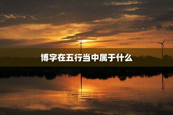 博字在五行当中属于什么