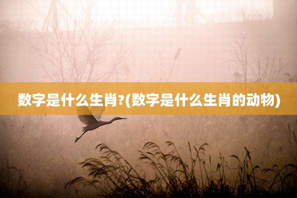 数字是什么生肖?(数字是什么生肖的动物)