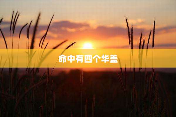命中有四个华盖