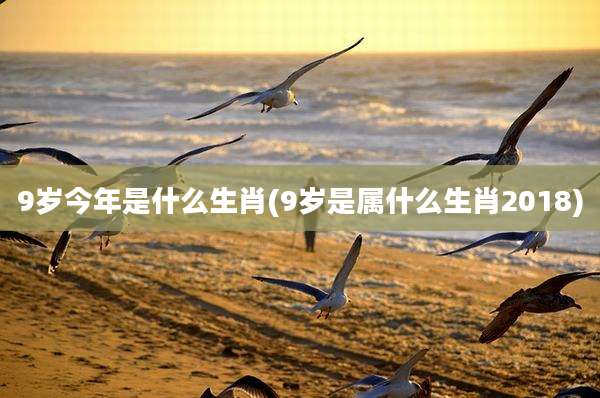9岁今年是什么生肖(9岁是属什么生肖2018)