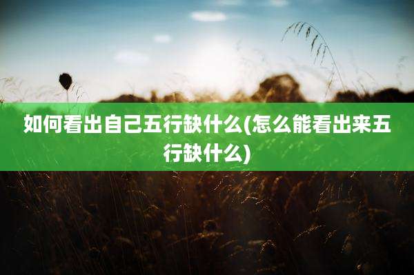 如何看出自己五行缺什么(怎么能看出来五行缺什么)