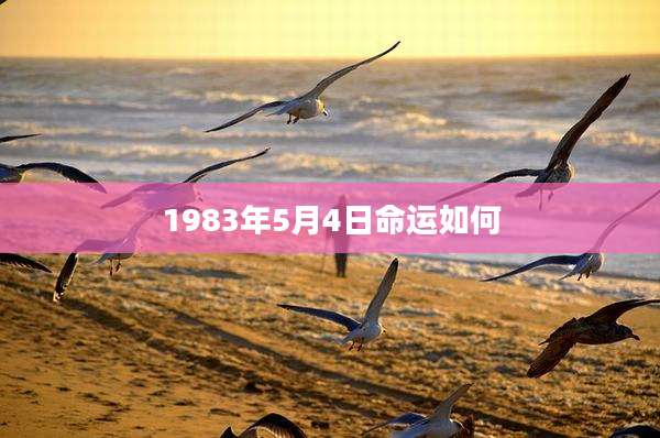 1983年5月4日命运如何