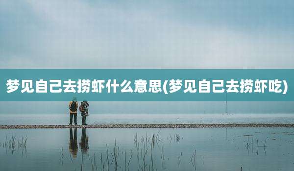 梦见自己去捞虾什么意思(梦见自己去捞虾吃)