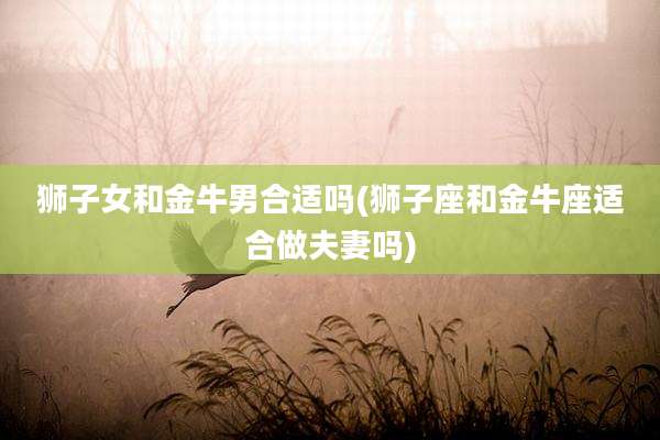 狮子女和金牛男合适吗(狮子座和金牛座适合做夫妻吗)