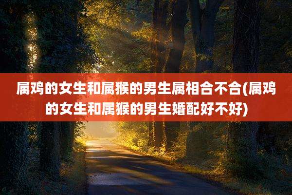 属鸡的女生和属猴的男生属相合不合(属鸡的女生和属猴的男生婚配好不好)