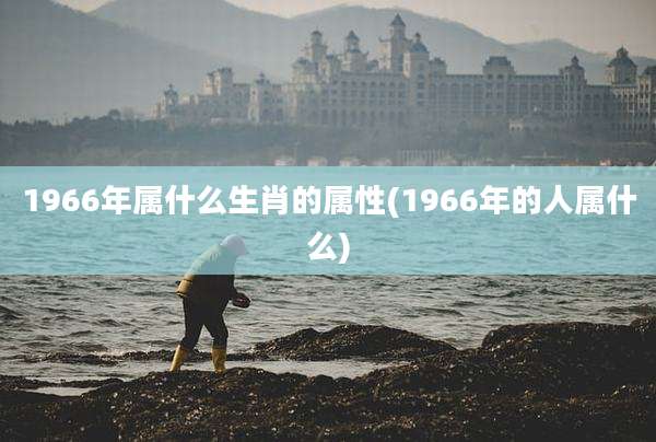 1966年属什么生肖的属性(1966年的人属什么)