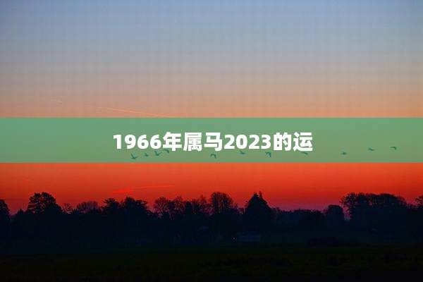 1966年属马2023的运