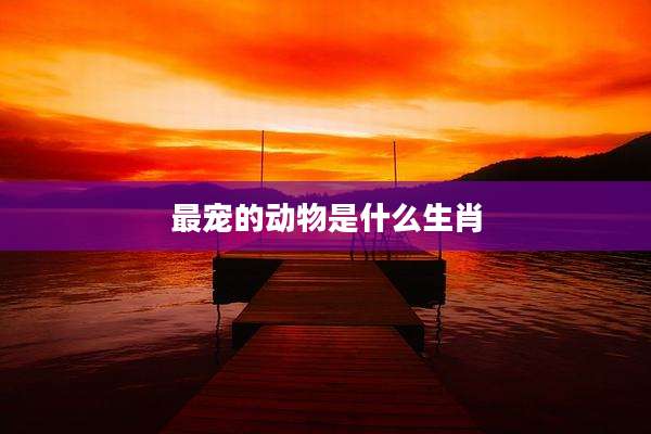最宠的动物是什么生肖