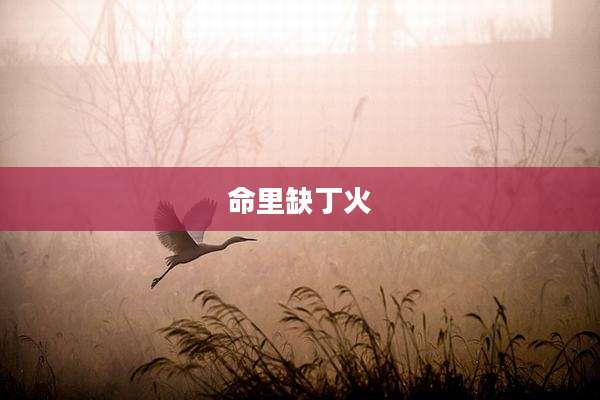 命里缺丁火