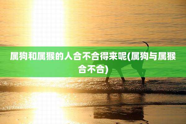 属狗和属猴的人合不合得来呢(属狗与属猴合不合)