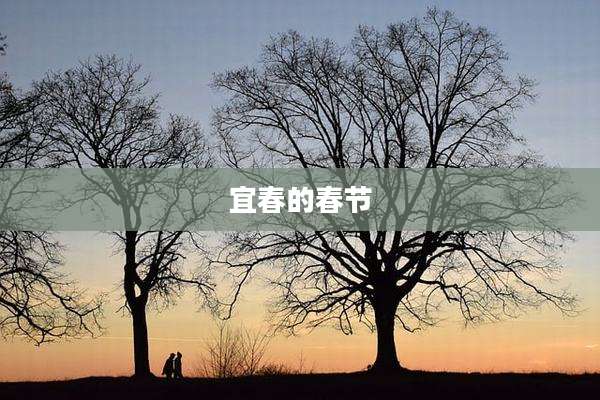 宜春的春节